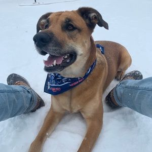 Meet your Posher, Will